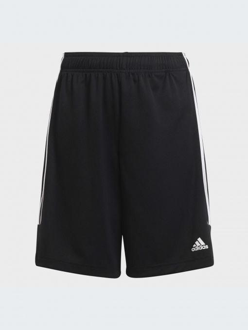 Шорты Adidas модель GT1336-KZ Фото