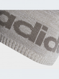 Шапки и кепки Adidas модель IB2652-KZ Фото