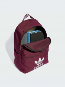 Рюкзаки Adidas Adicolor модель IL1961-KZ Фото