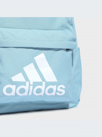 Рюкзаки Adidas модель HR9813-KZ Фото