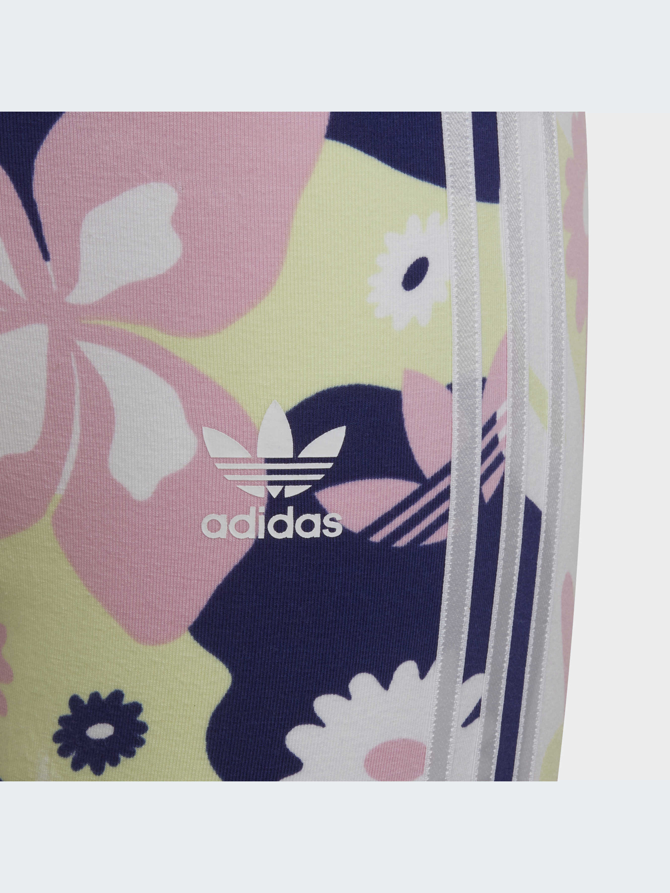 Брюки Adidas модель HF2110-KZ Фото