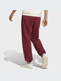 Брюки Adidas модель IC8887-KZ Фото