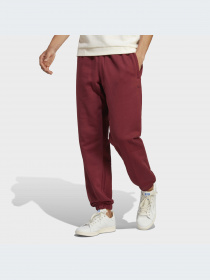 Брюки Adidas модель IC8887-KZ Фото