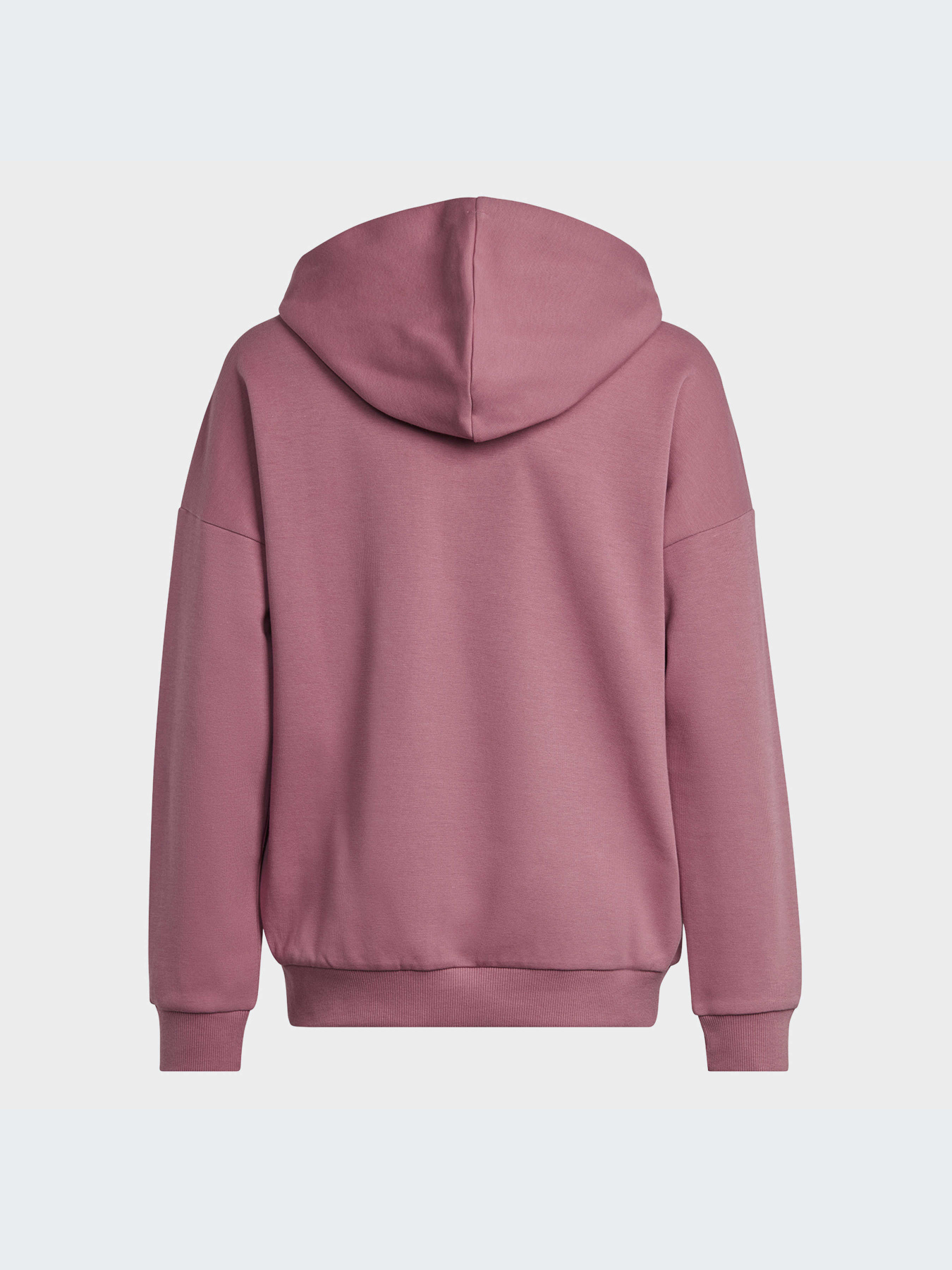 Худи и свитшоты Adidas модель HR6299-KZ Фото