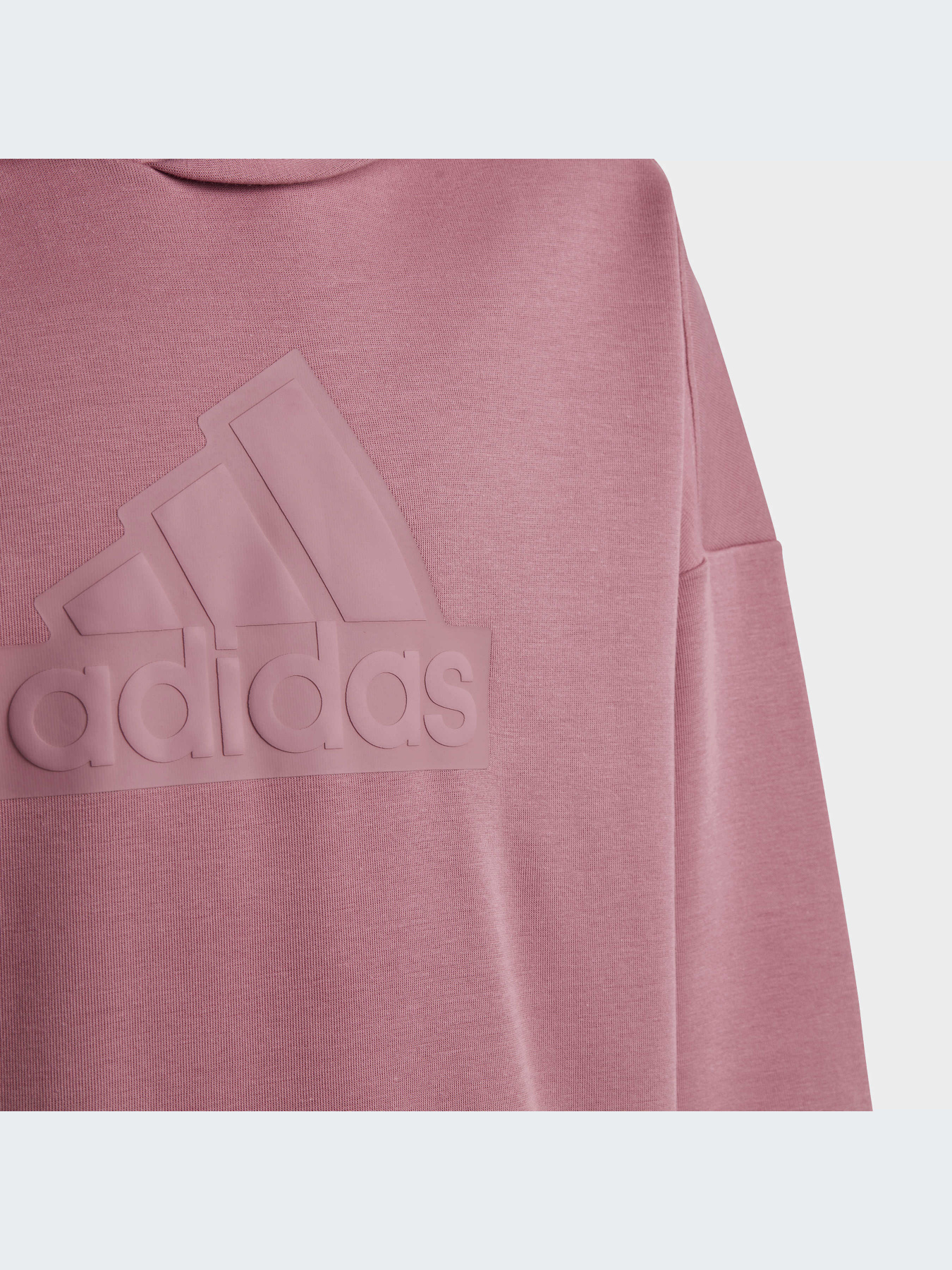 Худи и свитшоты Adidas модель HR6299-KZ Фото