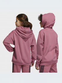 Худи и свитшоты Adidas модель HR6299-KZ Фото