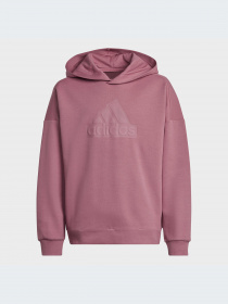 Худи и свитшоты Adidas модель HR6299-KZ Фото