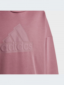 Худи и свитшоты Adidas модель HR6299-KZ Фото