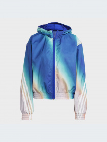 Куртки и дубленки Adidas модель IC0470-KZ Фото