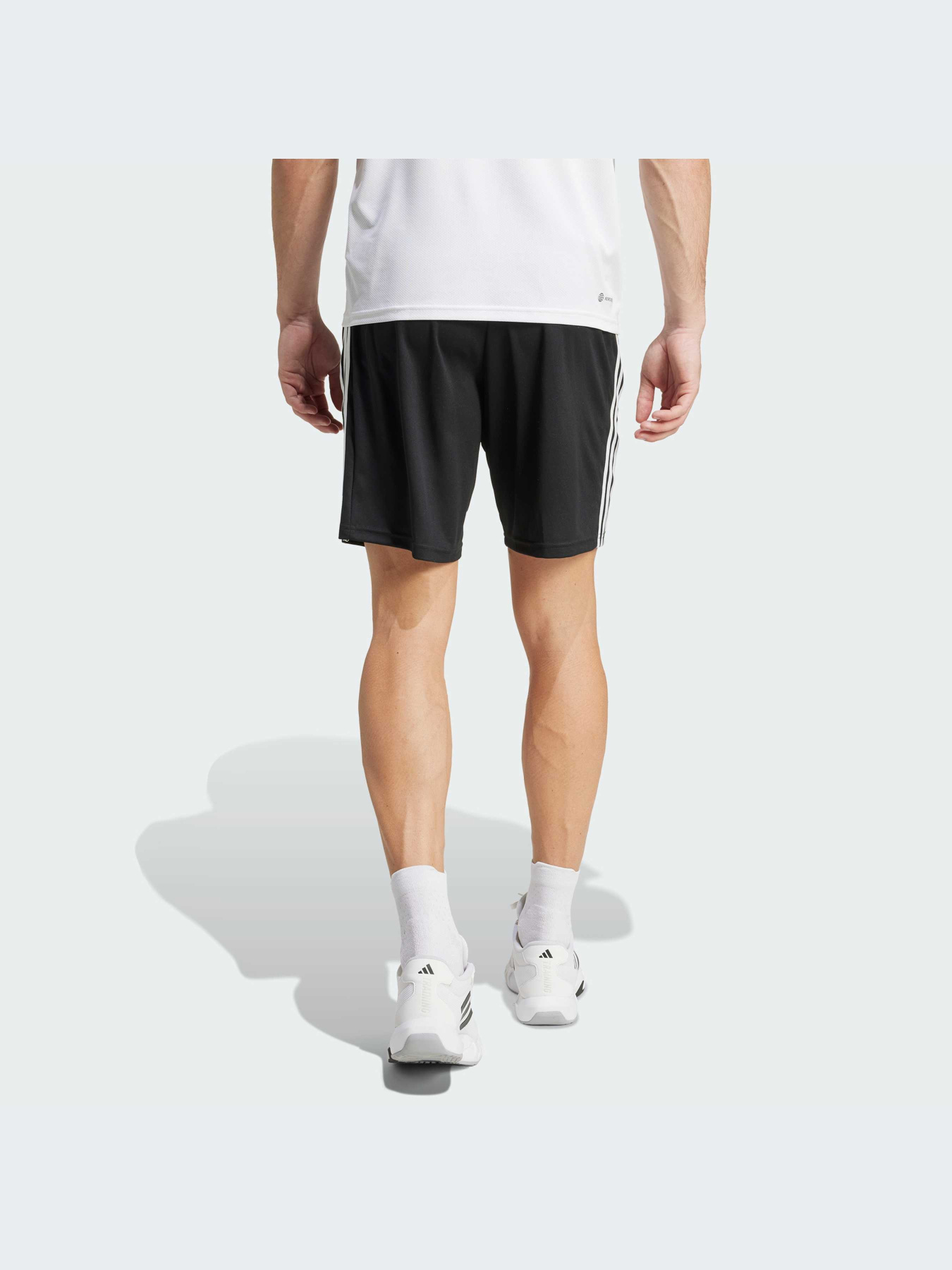 Шорты Adidas модель IB8243-KZ Фото