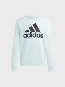 Худи и свитшоты Adidas модель HL2300-KZ Фото
