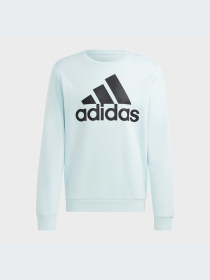 Худи и свитшоты Adidas модель HL2300-KZ Фото