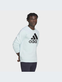 Худи и свитшоты Adidas модель HL2300-KZ Фото