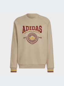 Худи и свитшоты Adidas модель HY6042-KZ Фото