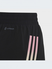 Шорты Adidas модель IC0347-KZ Фото