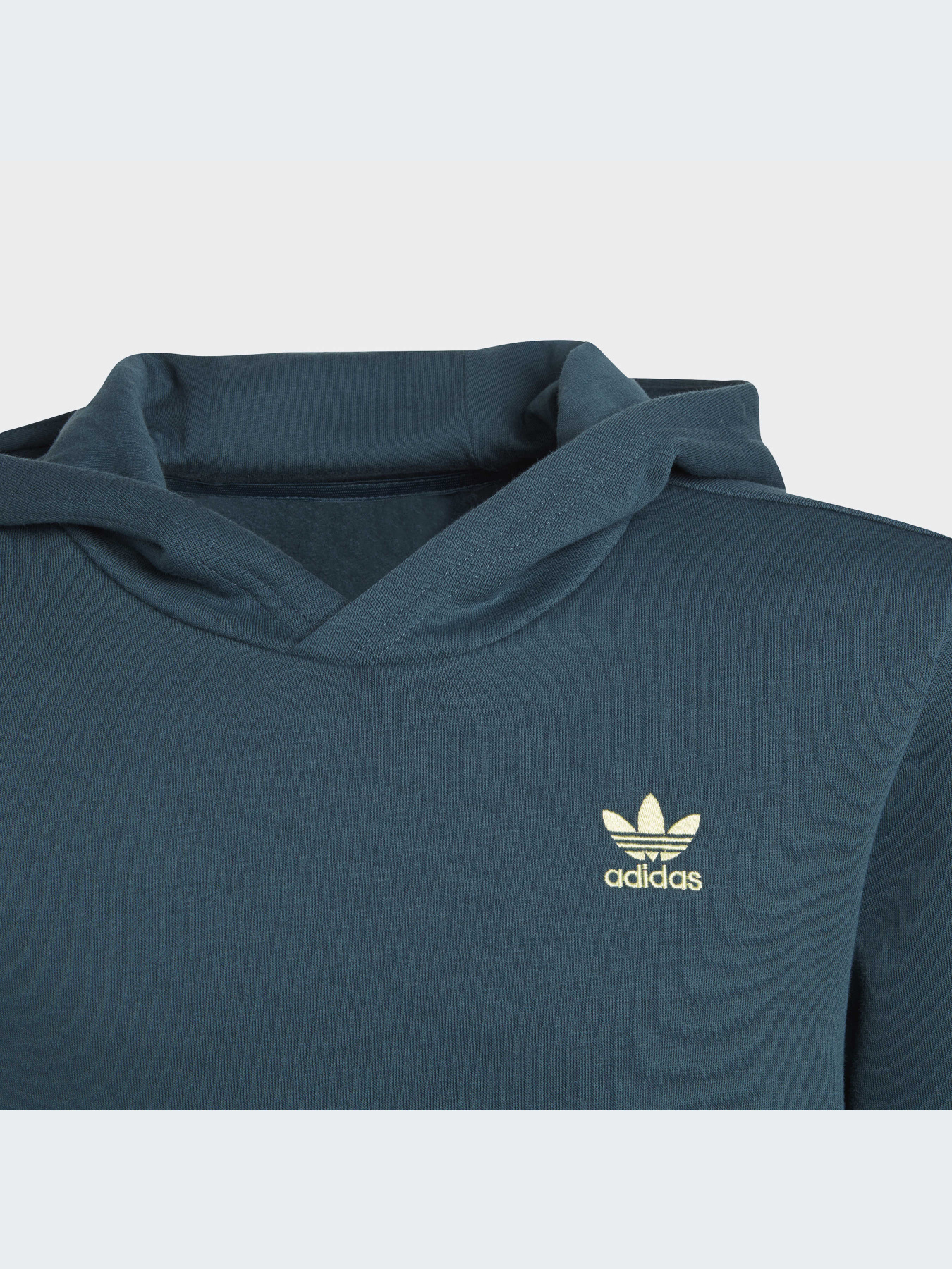 Худи и свитшоты Adidas Adicolor модель IJ9717-KZ Фото