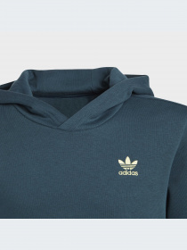 Худи и свитшоты Adidas Adicolor модель IJ9717-KZ Фото