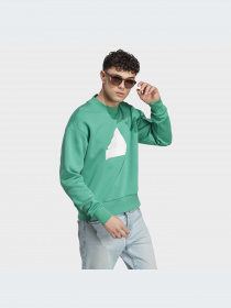 Худи и свитшоты Adidas модель IC3744-KZ Фото