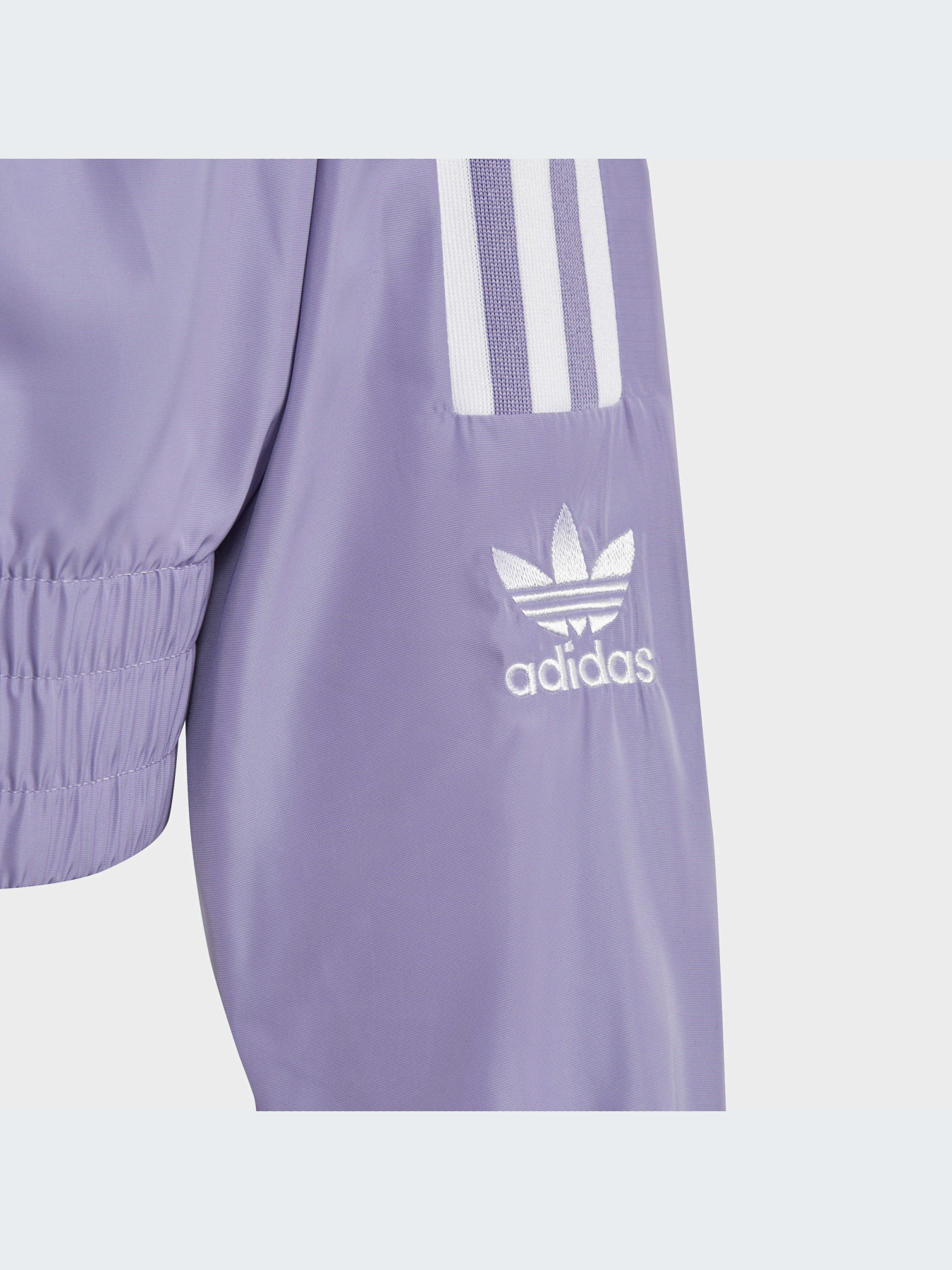 Худи и свитшоты Adidas Adicolor модель IC6271-KZ Фото