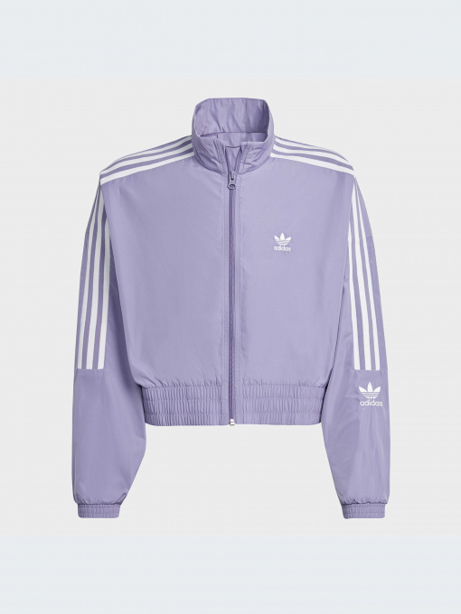Худи и свитшоты Adidas Adicolor модель IC6271-KZ Фото