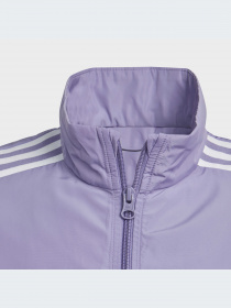 Худи и свитшоты Adidas Adicolor модель IC6271-KZ Фото