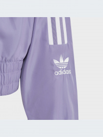 Худи и свитшоты Adidas Adicolor модель IC6271-KZ Фото