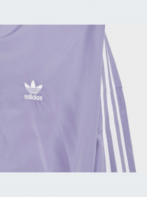 Худи и свитшоты Adidas Adicolor модель IC6271-KZ Фото