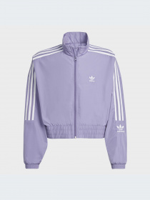 Худи и свитшоты Adidas Adicolor модель IC6271-KZ Фото