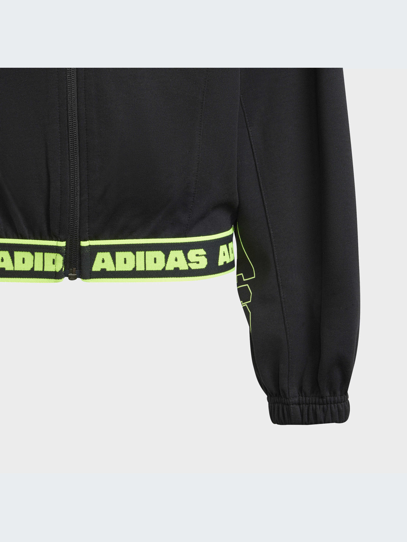 Худи и свитшоты Adidas модель IA1531-KZ Фото