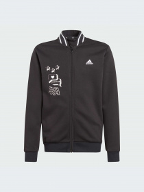 Костюмы Adidas модель IA1584-KZ Фото