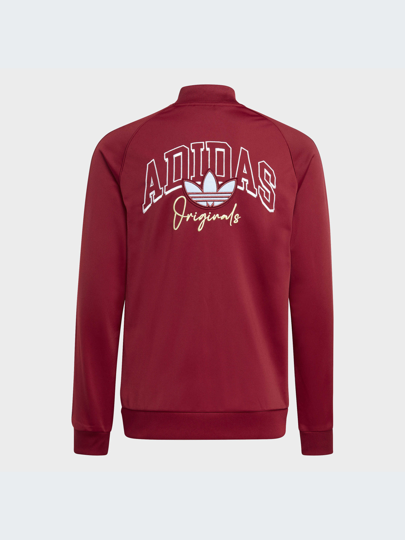 Спортивная одежда Adidas Graphics модель IJ0758-KZ Фото