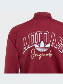 Спортивная одежда Adidas Graphics модель IJ0758-KZ Фото