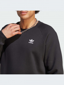 Худи и свитшоты Adidas Trefoil модель IM4532-KZ Фото