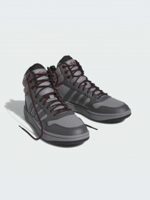 Кроссовки Adidas Hoops модель IG7930-KZ Фото