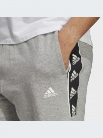 Шорты Adidas модель IC6820-KZ Фото