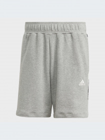 Шорты Adidas модель IC6820-KZ Фото