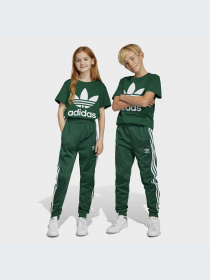Брюки Adidas Adicolor модель IC3089-KZ Фото