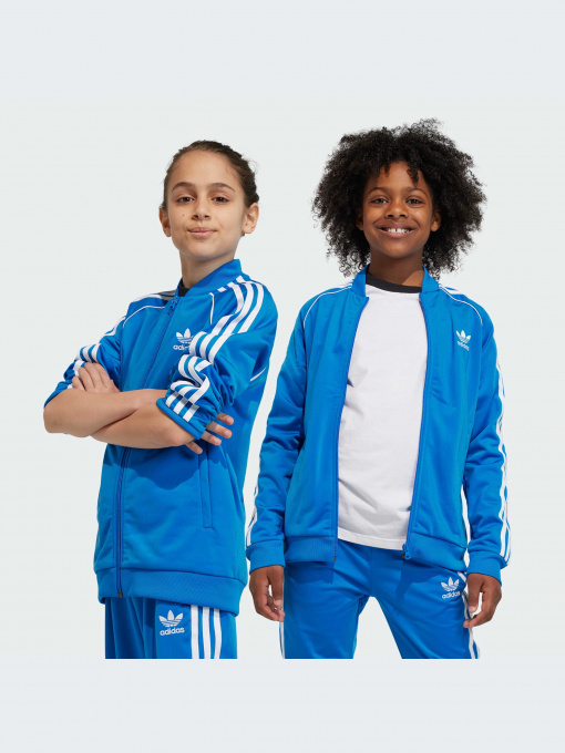 Худи и свитшоты Adidas Adicolor модель IN4743-KZ Фото