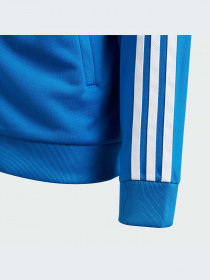 Худи и свитшоты Adidas Adicolor модель IN4743-KZ Фото