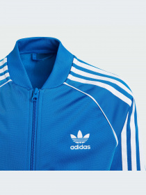 Худи и свитшоты Adidas Adicolor модель IN4743-KZ Фото