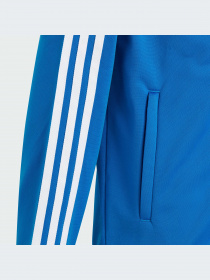Худи и свитшоты Adidas Adicolor модель IN4743-KZ Фото