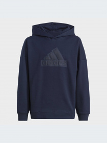 Худи и свитшоты Adidas модель IC9536-KZ Фото