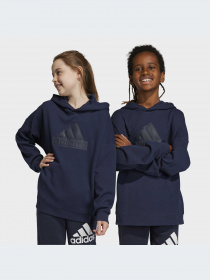 Худи и свитшоты Adidas модель IC9536-KZ Фото