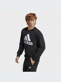 Худи и свитшоты Adidas модель IC9324-KZ Фото