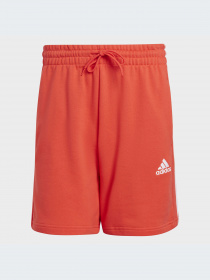 Шорты Adidas модель IC9438-KZ Фото