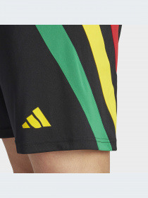 Шорты Adidas модель IK5736-KZ Фото