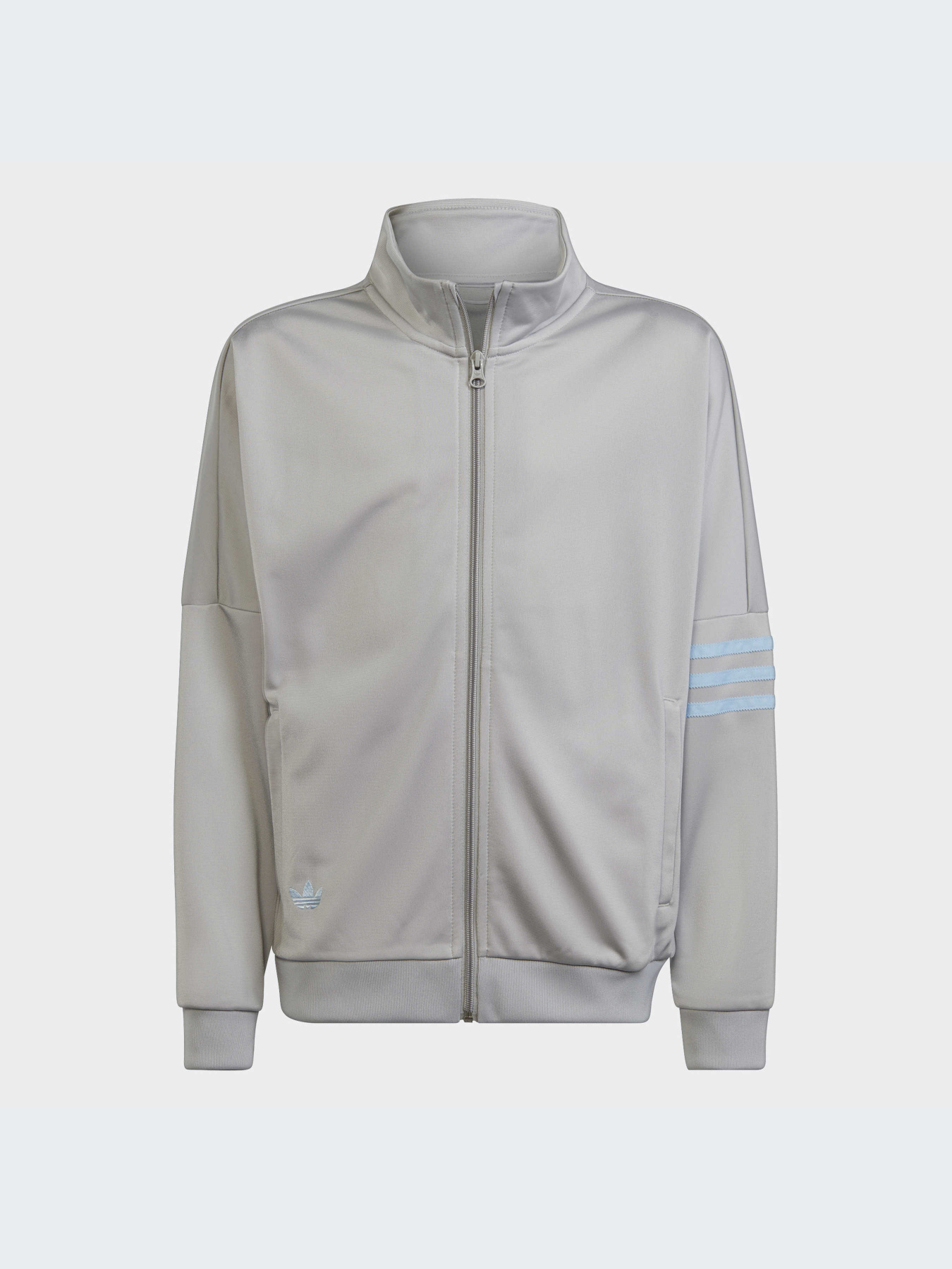 Спортивная одежда Adidas Adicolor модель IC6193-KZ Фото