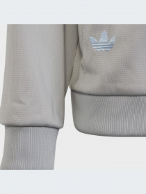 Спортивная одежда Adidas Adicolor модель IC6193-KZ Фото