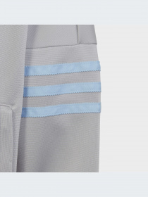 Спортивная одежда Adidas Adicolor модель IC6193-KZ Фото