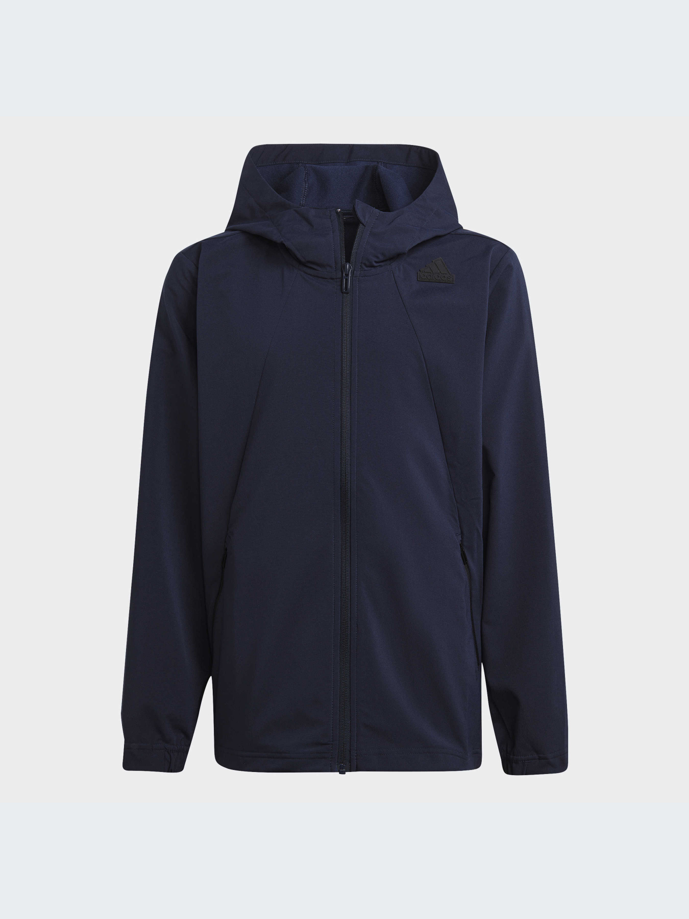 Худи и свитшоты Adidas модель HR6378-KZ Фото